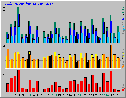 Daily usage for January 2007