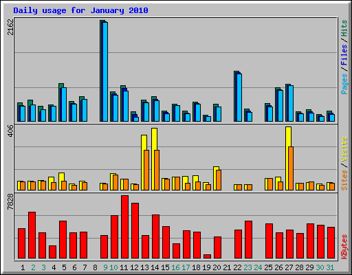 Daily usage for January 2010