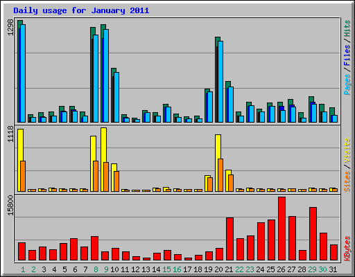 Daily usage for January 2011