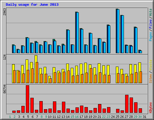 Daily usage for June 2013