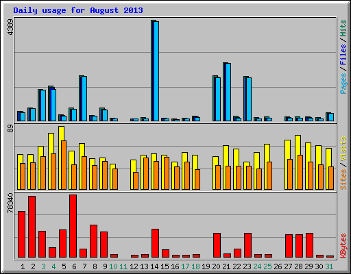 Daily usage for August 2013