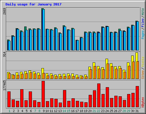 Daily usage for January 2017