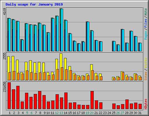 Daily usage for January 2019
