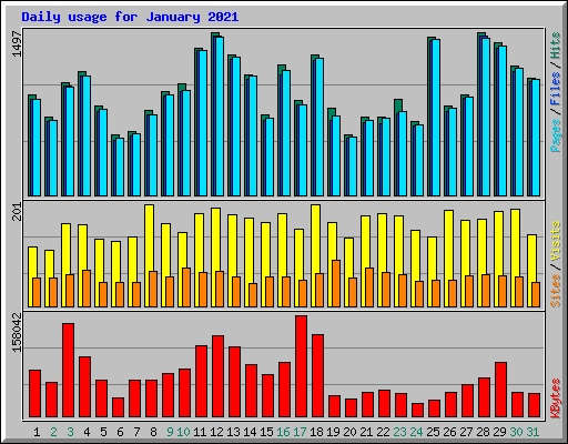 Daily usage for January 2021