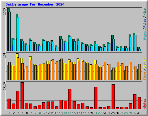 Daily usage for December 2024