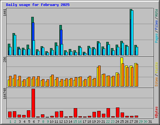 Daily usage for February 2025