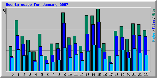 Hourly usage for January 2007