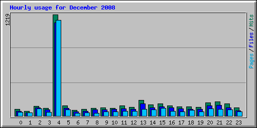 Hourly usage for December 2008