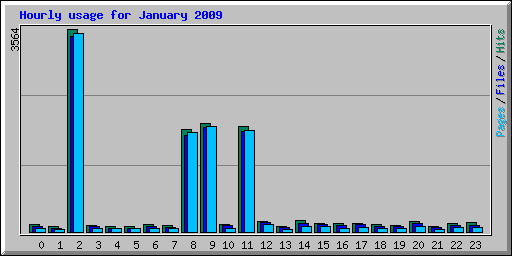 Hourly usage for January 2009