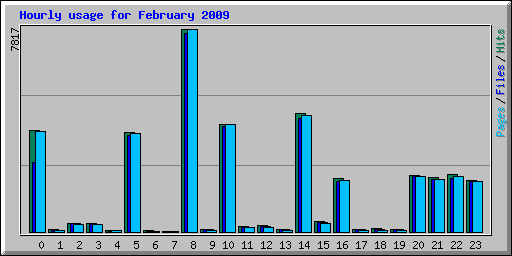 Hourly usage for February 2009