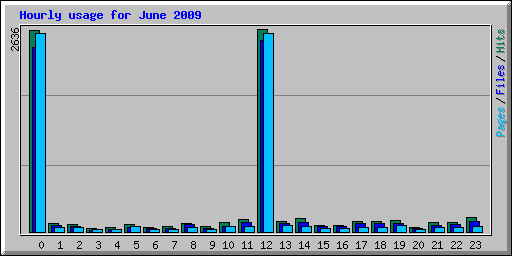 Hourly usage for June 2009