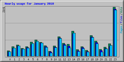 Hourly usage for January 2010