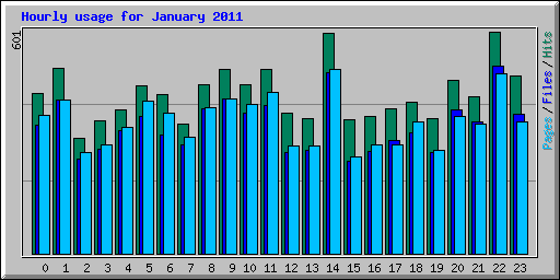 Hourly usage for January 2011