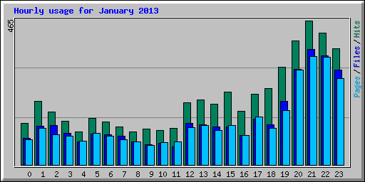 Hourly usage for January 2013