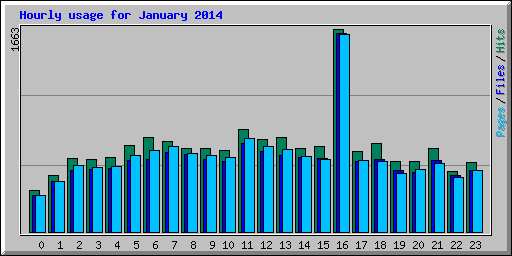 Hourly usage for January 2014