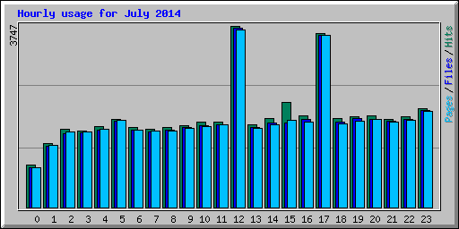 Hourly usage for July 2014