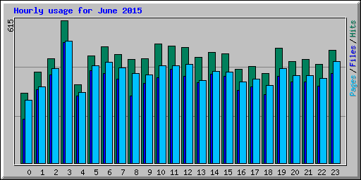 Hourly usage for June 2015