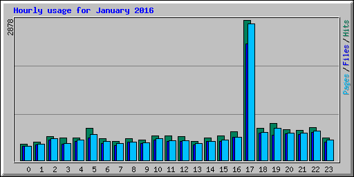 Hourly usage for January 2016