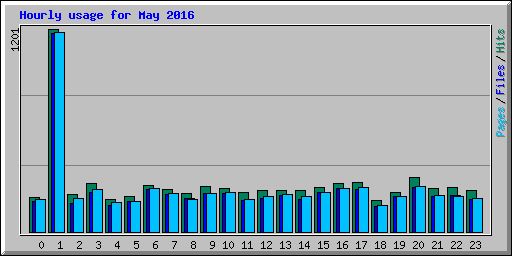 Hourly usage for May 2016