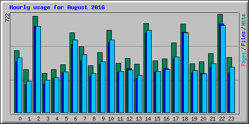 Hourly usage for August 2016