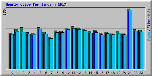 Hourly usage for January 2017