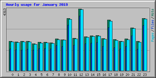 Hourly usage for January 2019