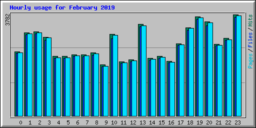 Hourly usage for February 2019