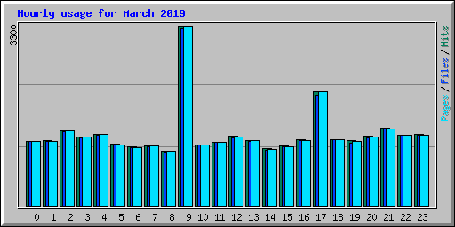 Hourly usage for March 2019