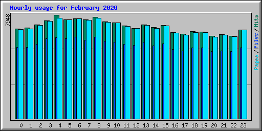 Hourly usage for February 2020