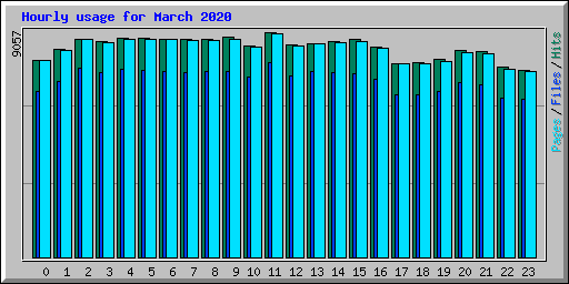 Hourly usage for March 2020