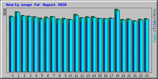 Hourly usage for August 2020