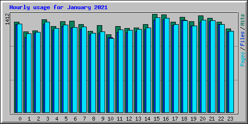Hourly usage for January 2021