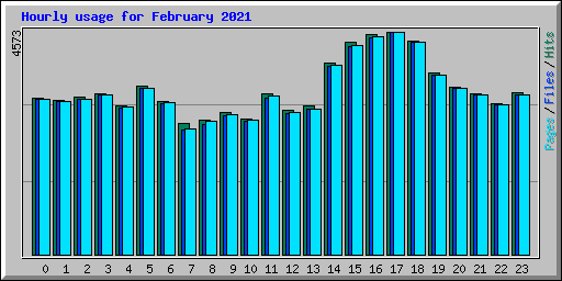 Hourly usage for February 2021