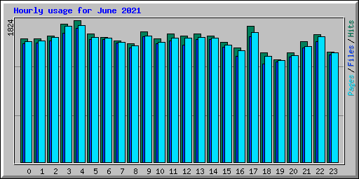 Hourly usage for June 2021