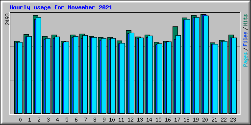 Hourly usage for November 2021