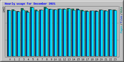 Hourly usage for December 2021