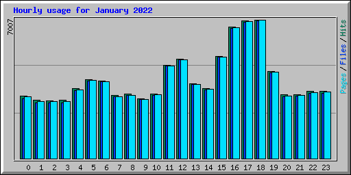 Hourly usage for January 2022