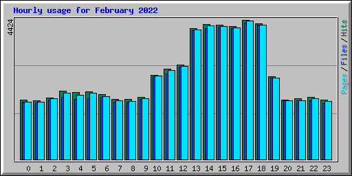Hourly usage for February 2022