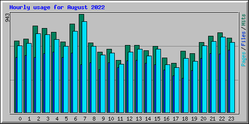 Hourly usage for August 2022