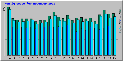 Hourly usage for November 2022