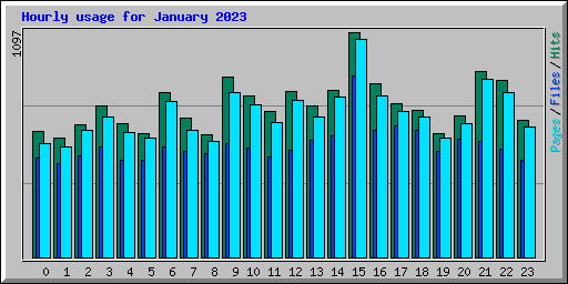 Hourly usage for January 2023