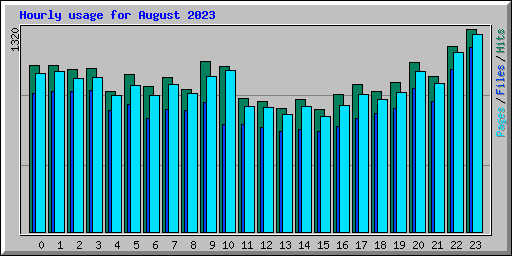 Hourly usage for August 2023