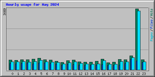 Hourly usage for May 2024