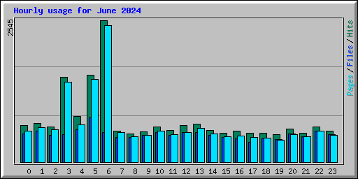 Hourly usage for June 2024