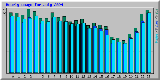 Hourly usage for July 2024