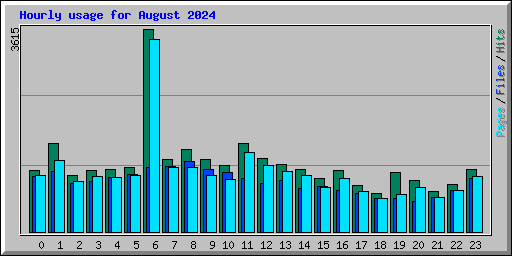 Hourly usage for August 2024