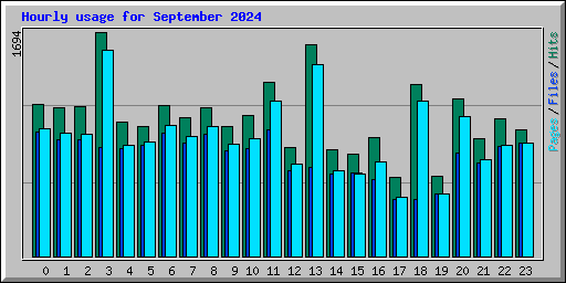 Hourly usage for September 2024