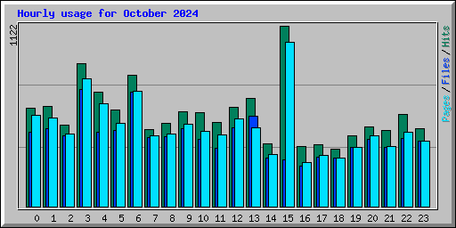 Hourly usage for October 2024