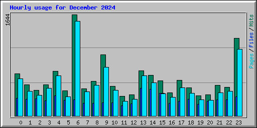 Hourly usage for December 2024