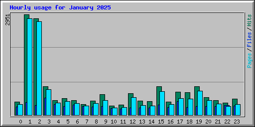 Hourly usage for January 2025